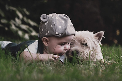 http://img.jzgzf.com/03/09/14/0d4deb58daa5f6174e85.jpg