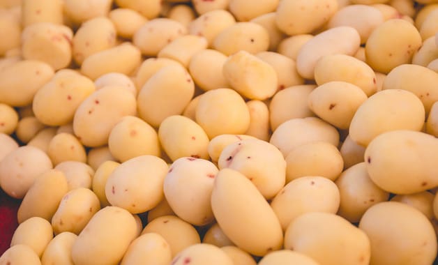 世界上最小的土豆多重