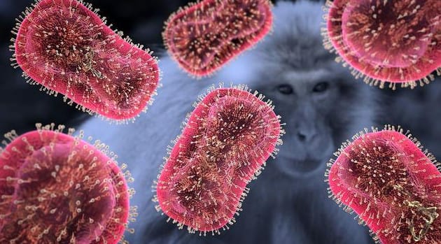 月内地新增106例猴痘确诊病例"