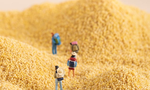 小米和黄米有什么区别