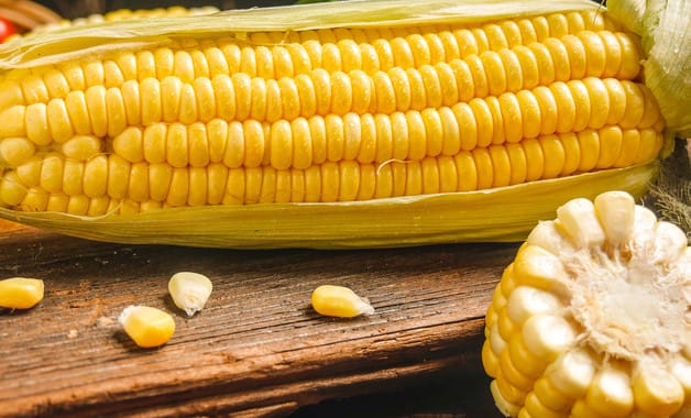 新鲜玉米可以冷冻保存吗